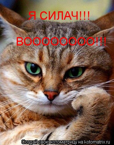 Котоматрица: Я СИЛАЧ!!! ВОООООООО!!!