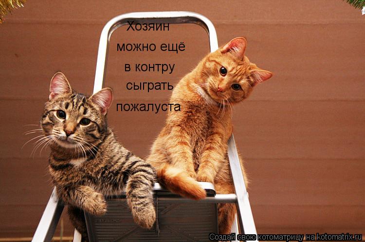 Котоматрица: Хозяин можно ещё в контру  сыграть пожалуста