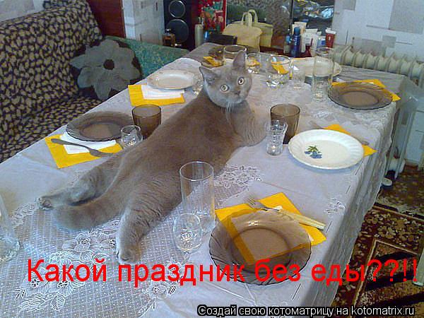 Какой праздник без еды??!!... Котоматрица: Какой праздник без еды??!!