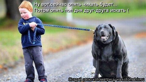 Ну вот,сейчас опять чихать будет... Потом опять пол дня друг-друга искать (... Котоматрица: Ну вот,сейчас опять чихать будет... Потом опять пол дня друг-друга искать (