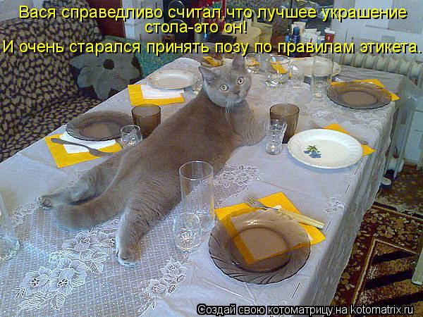 Вася справедливо считал,что лучшее украшение стола-это он! И очень старался принять позу по правилам ... Котоматрица: Вася справедливо считал,что лучшее украшение стола-это он! И очень старался принять позу по правилам этикета.