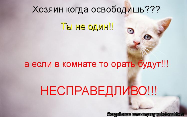 Котоматрица: Хозяин когда освободишь??? Ты не один!! а если в комнате то орать будут!!! НЕСПРАВЕДЛИВО!!!