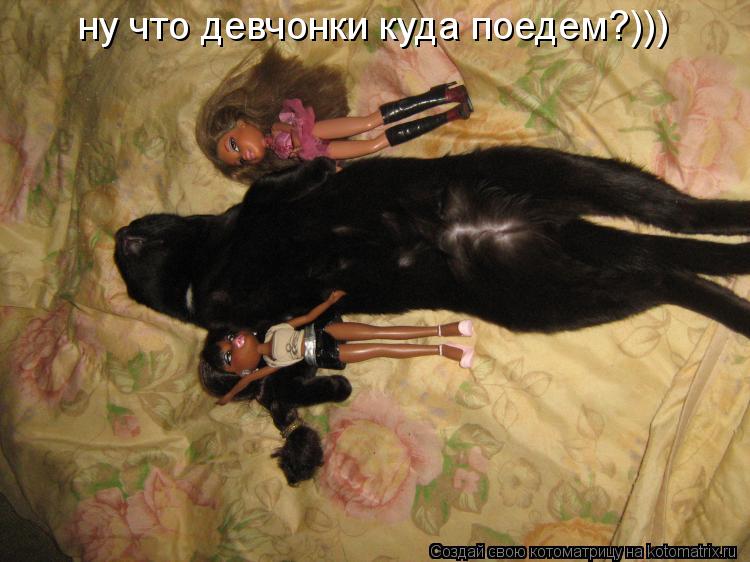 ну что девчонки куда поедем?)))... Котоматрица: ну что девчонки куда поедем?)))