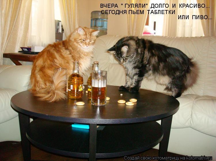 ВЧЕРА " ГУЛЯЛИ" ДОЛГО И КРАСИВО... СЕГОДНЯ ПЬЕМ ТАБЛЕТКИ ИЛИ ПИВО...... Котоматрица: ВЧЕРА " ГУЛЯЛИ" ДОЛГО И КРАСИВО... СЕГОДНЯ ПЬЕМ ТАБЛЕТКИ ИЛИ ПИВО...