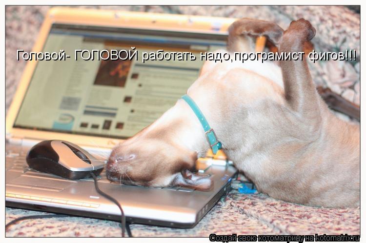 Головой- ГОЛОВОЙ работать надо,програмист фигов!!!... Котоматрица: Головой- ГОЛОВОЙ работать надо,програмист фигов!!!