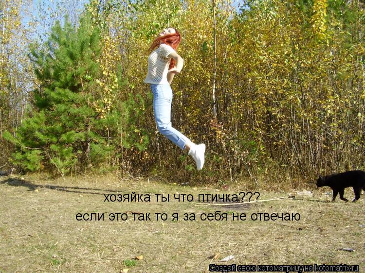 если это так то я за себя не отвечаю хозяйка ты что птичка???... Котоматрица: если это так то я за себя не отвечаю хозяйка ты что птичка???