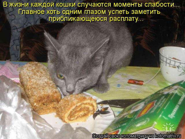 В жизни каждой кошки случаются моменты слабости... Главное хоть одним глазом успеть заметить приближ... Котоматрица: В жизни каждой кошки случаются моменты слабости... Главное хоть одним глазом успеть заметить приближающеюся расплату...