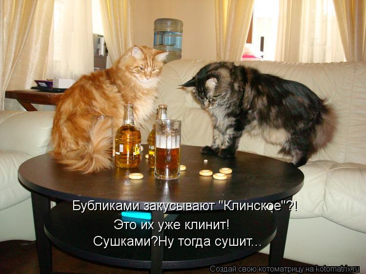 Бубликами закусывают "Клинское"?! Это их уже клинит! Сушками?Ну тогда сушит...... Котоматрица: Бубликами закусывают "Клинское"?! Это их уже клинит! Сушками?Ну тогда сушит...