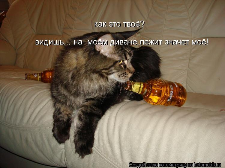 как это твоё? видишь... на моём диване лежит значет моё!... Котоматрица: как это твоё? видишь... на моём диване лежит значет моё!