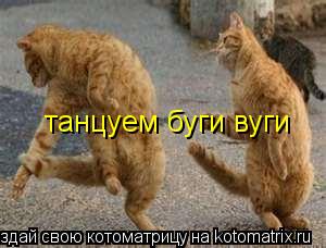танцуем буги вуги... Котоматрица: танцуем буги вуги