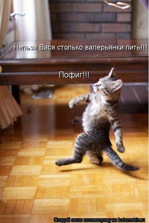 Нельзя Вася столько валерьянки пить!!! Пофиг!!!... Котоматрица: Нельзя Вася столько валерьянки пить!!! Пофиг!!!
