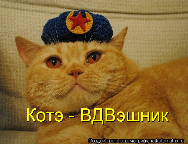 Котэ - ВДВэшник... Котоматрица: Котэ - ВДВэшник
