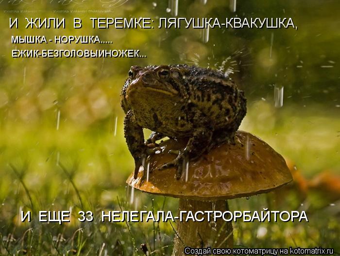 И ЖИЛИ В ТЕРЕМКЕ: ЛЯГУШКА-КВАКУШКА, МЫШКА - НОРУШКА..... ЕЖИК-БЕЗГОЛОВЫИНОЖЕК... И ЕЩЕ 33 НЕЛЕГ... Котоматрица: И ЖИЛИ В ТЕРЕМКЕ: ЛЯГУШКА-КВАКУШКА, МЫШКА - НОРУШКА..... ЕЖИК-БЕЗГОЛОВЫИНОЖЕК... И ЕЩЕ 33 НЕЛЕГАЛА-ГАСТРОРБАЙТОРА