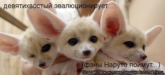 девятихвостый эвалюционирует... (фэны Наруто поймут...)... Котоматрица: девятихвостый эвалюционирует... (фэны Наруто поймут...)