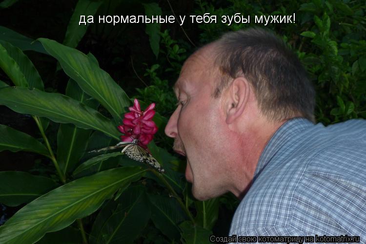 да нормальные у тебя зубы мужик!... Котоматрица: да нормальные у тебя зубы мужик!