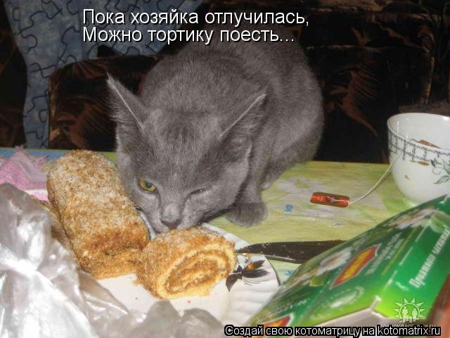 Пока хозяйка отлучилась, Можно тортику поесть...... Котоматрица: Пока хозяйка отлучилась, Можно тортику поесть...