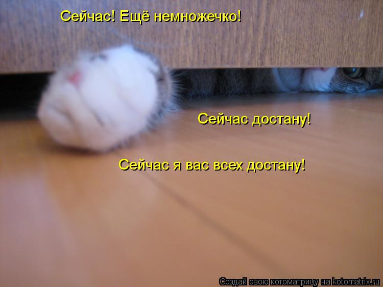 Сейчас! Ещё немножечко! Сейчас достану! Сейчас я вас всех достану!... Котоматрица: Сейчас! Ещё немножечко! Сейчас достану! Сейчас я вас всех достану!