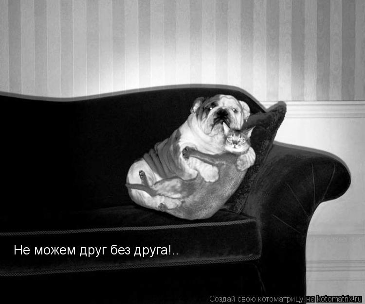 Не можем друг без друга!..... Котоматрица: Не можем друг без друга!..