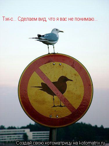 Котоматрица: Тэк-с... Сделаем вид, что я вас не понимаю...