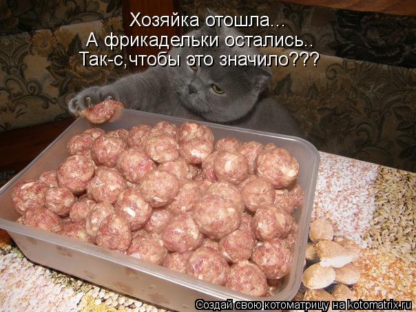 Котоматрица: Хозяйка отошла... А фрикадельки остались.. Так-с,чтобы это значило???