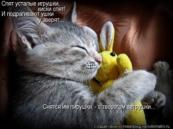 Котоматрица: Спят усталые игрушки, киски спят! И подрагивают ушки у зверят... Снятся им пирушки, - с творогом ватрушки...