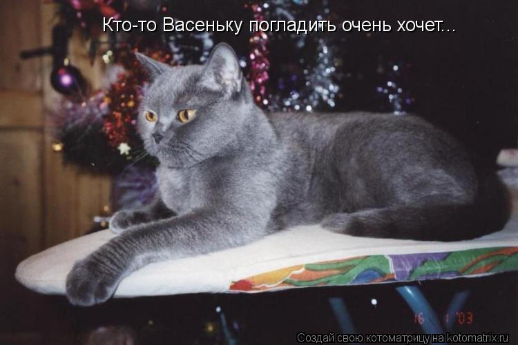 Кто-то Васеньку погладить очень хочет...... Котоматрица: Кто-то Васеньку погладить очень хочет...