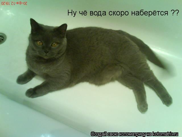 Котоматрица: Ну чё вода скоро наберётся ??