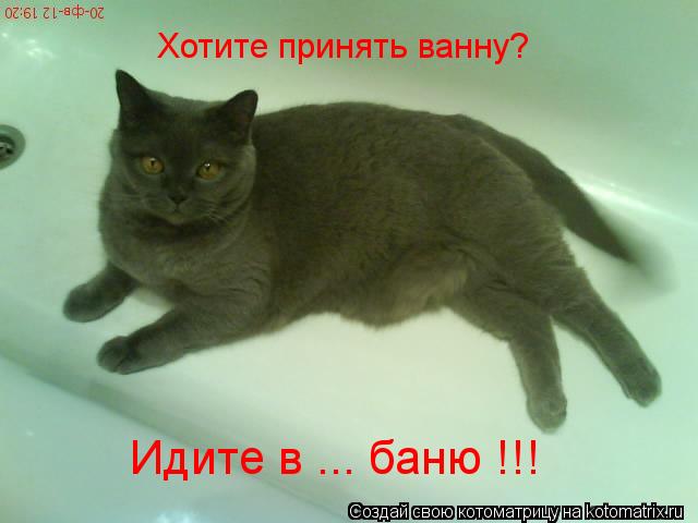 Котоматрица: Хотите принять ванну?  Идите в ... баню !!!