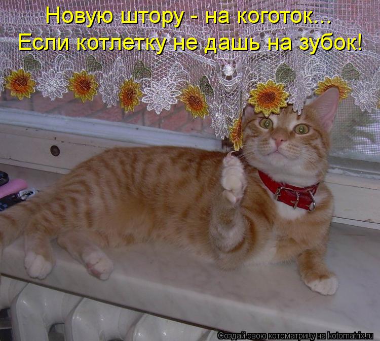 Котоматрица: Новую штору - на коготок... Если котлетку не дашь на зубок!