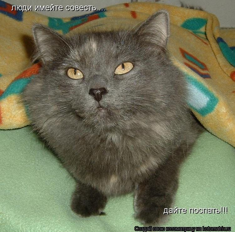 Котоматрица: люди имейте совесть ... дайте поспать!!!