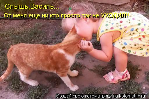 Котоматрица: Слышь,Василь... От меня еще ни кто просто так не УХОДИЛ!!