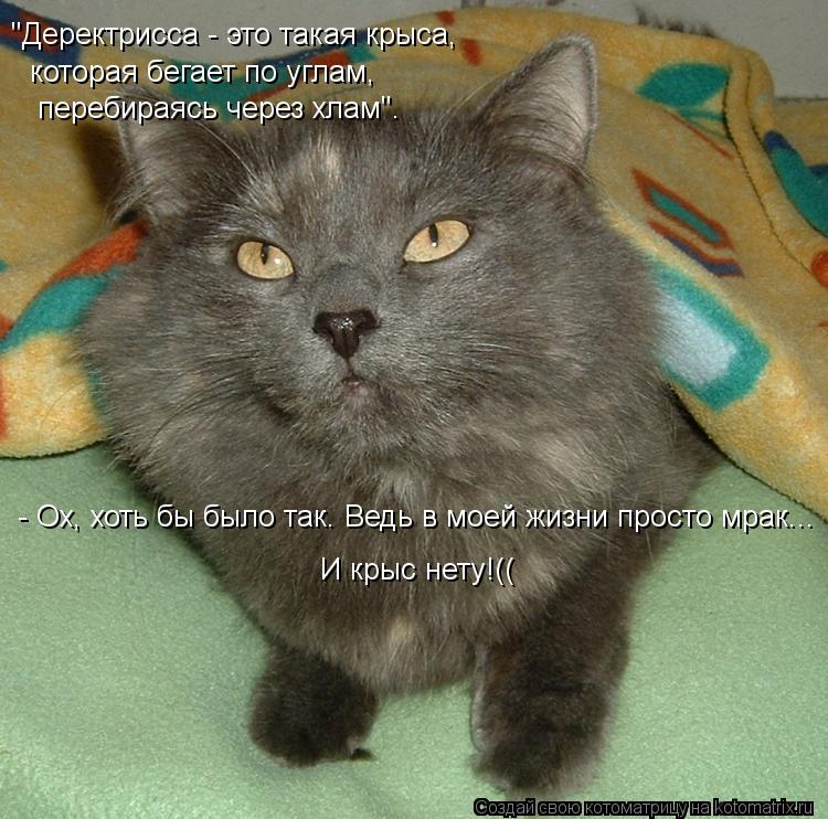 Котоматрица: "Деректрисса - это такая крыса,  которая бегает по углам,  перебираясь через хлам". - Ох, хоть бы было так. Ведь в моей жизни просто мрак... И крыс