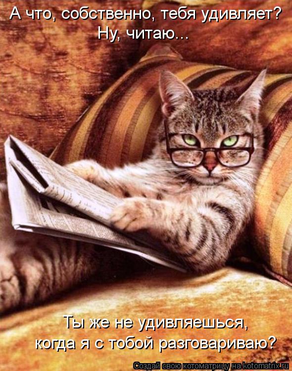 Котоматрица: А что, собственно, тебя удивляет? Ну, читаю... Ты же не удивляешься,  когда я с тобой разговариваю?