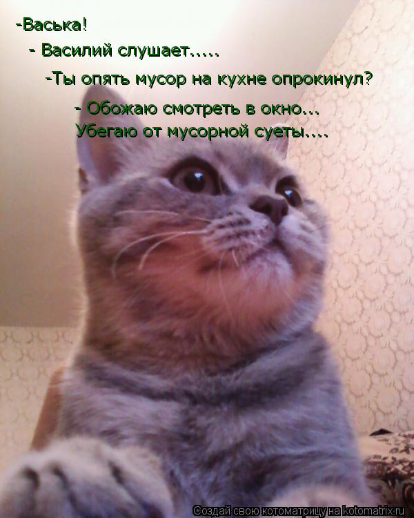 Котоматрица: -Васька! - Василий слушает..... -Ты опять мусор на кухне опрокинул? - Обожаю смотреть в окно... Убегаю от мусорной суеты....
