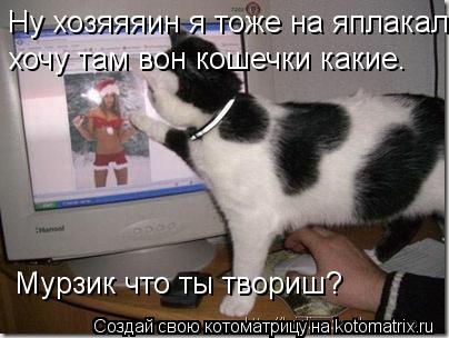 Котоматрица: Мурзик что ты твориш? Ну хозяяяин я тоже на яплакал  хочу там вон кошечки какие.