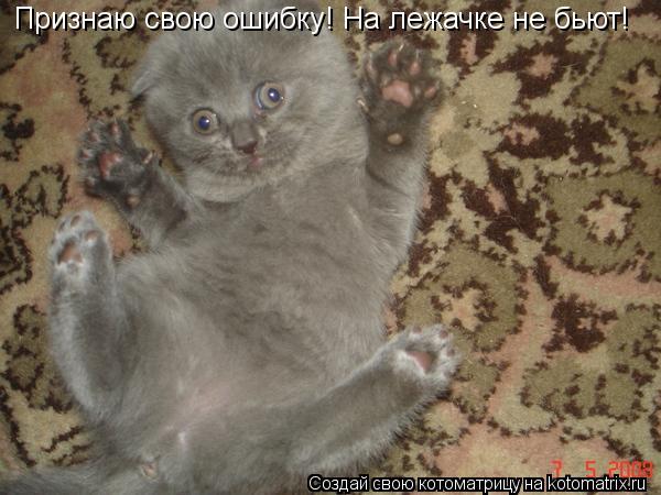 Котоматрица: Признаю свою ошибку! На лежачке не бьют!