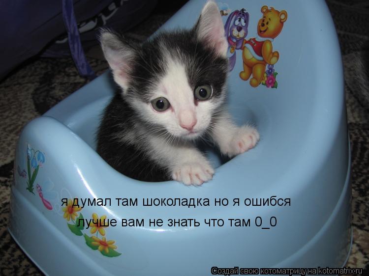 я думал там шоколадка но я ошибся лучше вам не знать что там 0_0... Котоматрица: я думал там шоколадка но я ошибся лучше вам не знать что там 0_0