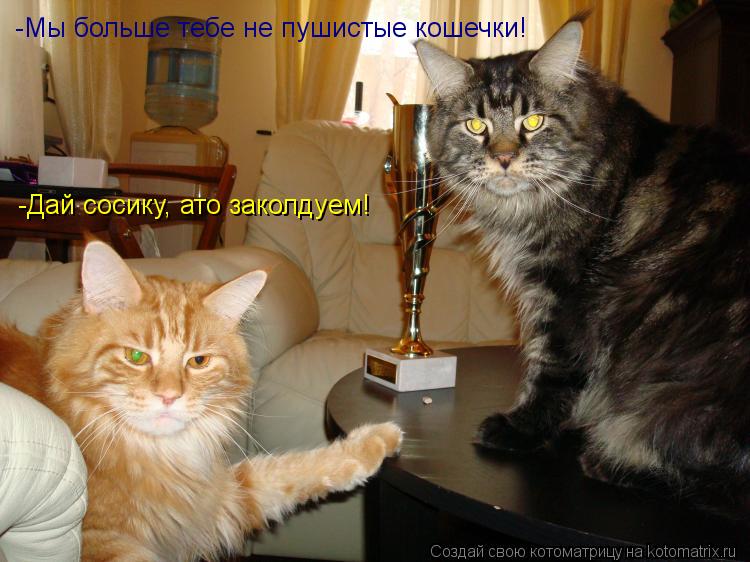 -Мы больше тебе не пушистые кошечки! -Дай сосику, ато заколдуем!... Котоматрица: -Мы больше тебе не пушистые кошечки! -Дай сосику, ато заколдуем!