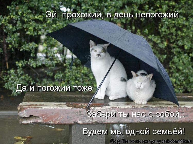 Котоматрица: Эй, прохожий, в день непогожий Да и погожий тоже Забери ты нас с собой, Будем мы одной семьёй!