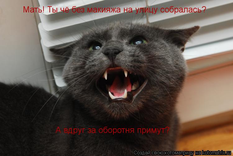 Мать! Ты чё без макияжа на улицу собралась? А вдруг за оборотня примут?... Котоматрица: Мать! Ты чё без макияжа на улицу собралась? А вдруг за оборотня примут?