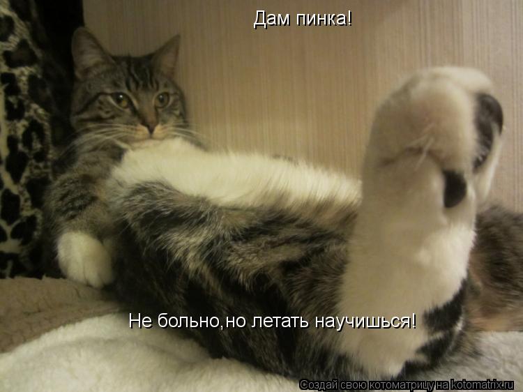 Котоматрица: Дам пинка! Не больно,но летать научишься!