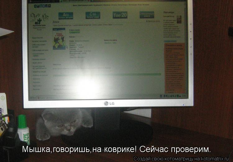 Котоматрица: Мышка,говоришь,на коврике! Сейчас проверим.