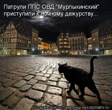 Котоматрица: Патрули ППС ОВД "Мурлыкинский" приступили к ночному дежурству...