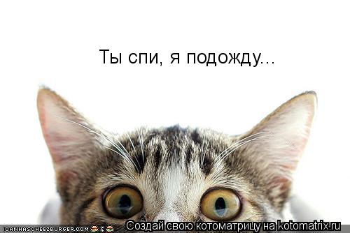 Котоматрица: Ты спи, я подожду...