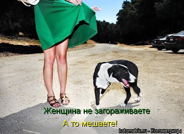 Котоматрица: Женщина не загораживаете А то мешаете!