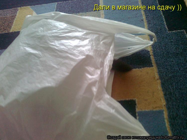 Котоматрица: Дали в магазине на сдачу ))