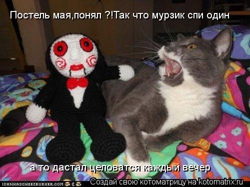 Котоматрица: Постель мая,понял ?!Так что мурзик спи один  а то дастал целоватся каждый вечер