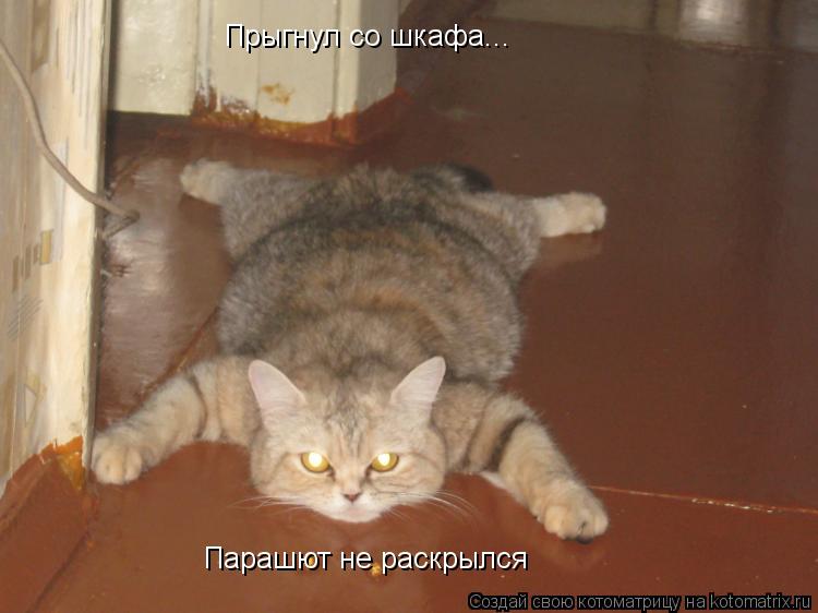 Котоматрица: Прыгнул со шкафа... Парашют не раскрылся