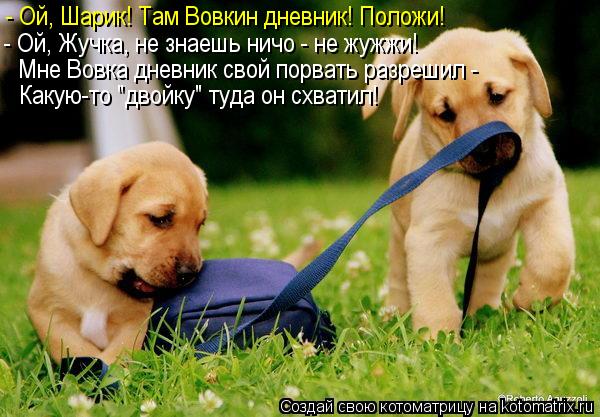 - Ой, Шарик! Там Вовкин дневник! Положи! - Ой, Жучка, не знаешь ничо - не жужжи! Мне Вовка дневник св... Котоматрица: - Ой, Шарик! Там Вовкин дневник! Положи! - Ой, Жучка, не знаешь ничо - не жужжи! Мне Вовка дневник свой порвать разрешил - Какую-то "двойку" туда о