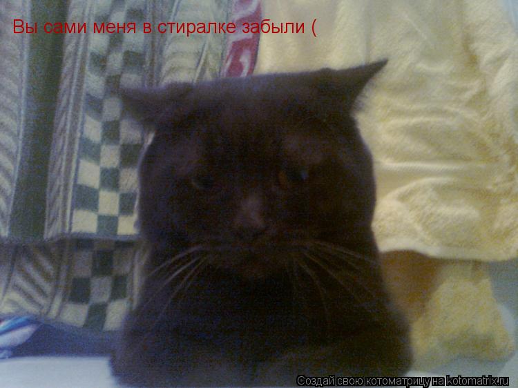 Котоматрица: Вы сами меня в стиралке забыли (